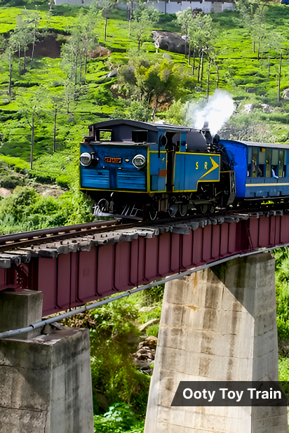 Meadows Ooty Toy Train