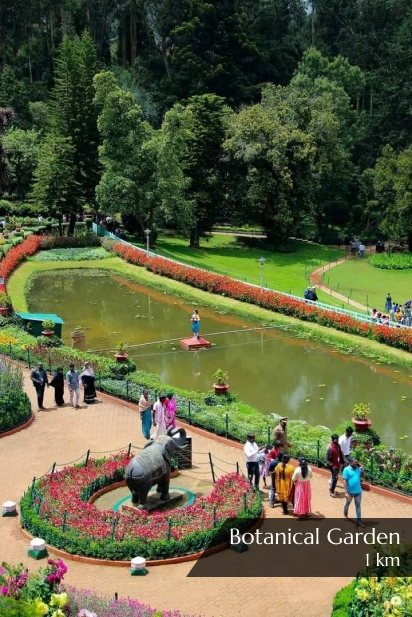 Best 3 Star Hotel in Ooty