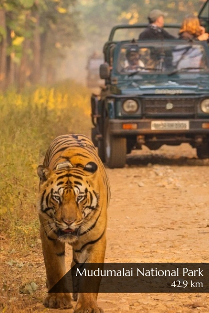 Best 3 Star Hotel in Ooty