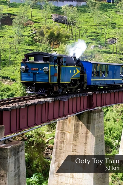 Best 3 Star Hotel in Ooty