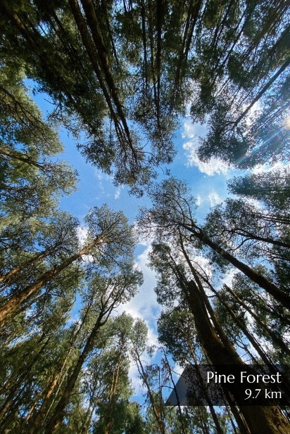 Best 3 Star Hotel in Ooty